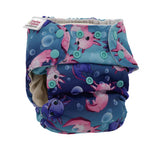 Blueberry Simplex All in One Nappy