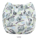 Blueberry Simplex All in One Nappy