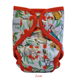 Paddle Pants by Seedling Baby