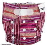 Designer Bums Swim Nappy