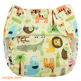 Blueberry Simplex All in One Nappy