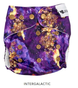 Designer Bums OSFM Cloth Nappy